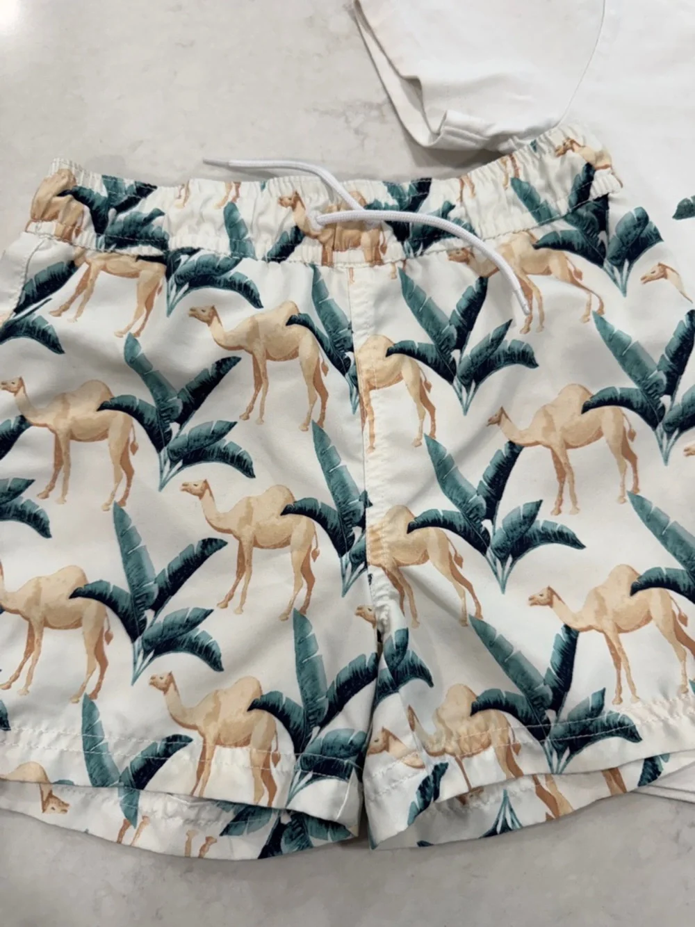 Janie and Jack Camel Swim Trunks and Cotton Shirt 5T - Picture 2 of 8